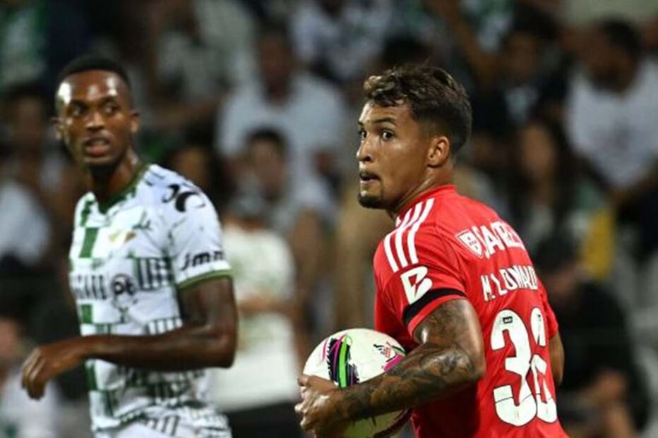 2024-08-31_18_36_27 52560429.jpg