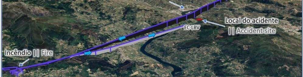 A manoeuvre to distract the bird could have caused the helicopter to crash into the Douro River at 185 km/h.