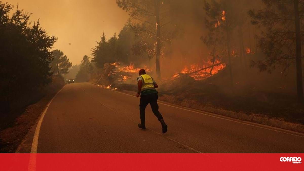 Detida mulher suspeita de atear incêndio florestal no Sabugal, Guarda