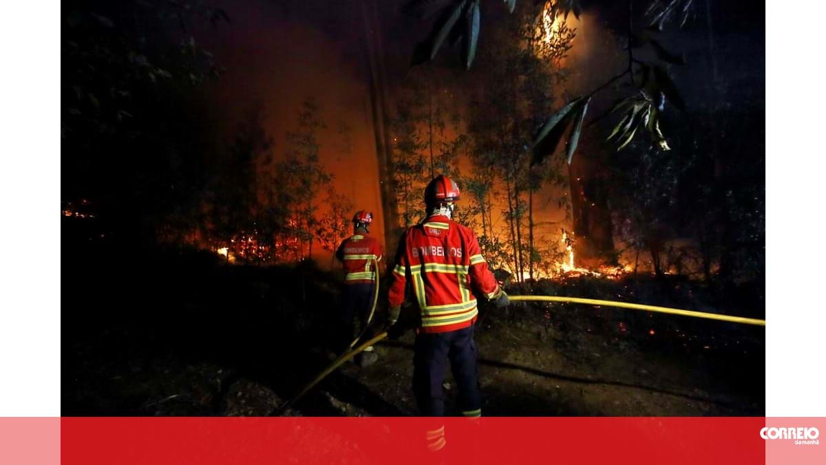 Fogos em Castro Daire são os que mais meios mobilizam. Penalva do Castelo, Arouca e Vila Pouca de Aguiar em resolução