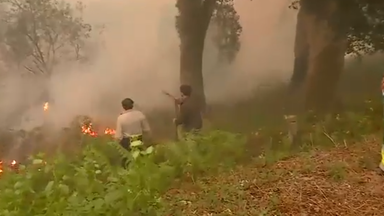 Moradores tentam combater as chamas em Albergaria-a-Velha