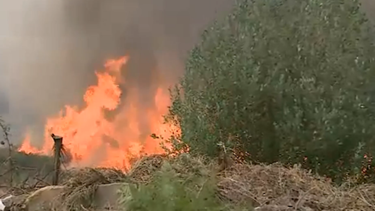 Proteção Civil prevê combate 