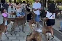 2024-09-11_10_19_20 459174654_534254975761219_8400178974443553963_n.jpg