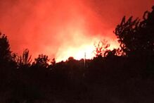 Sofia Alves nos incêndios