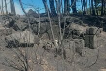 2024-09-18_15_53_27 Snapinsta.app_460295363_1425401598135725_4660553974249319274_n_1080.jpg