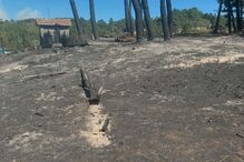 2024-09-18_15_53_28 Snapinsta.app_460249587_501709149330301_5140460600144046685_n_1080.jpg