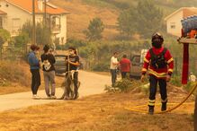 Município de Castro Daire foi um dos mais afetados pelos incêndios que desde domingo lavram na zona Centro e Norte