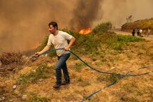 Município de Castro Daire foi um dos mais afetados pelos incêndios que desde domingo lavram na zona Centro e Norte