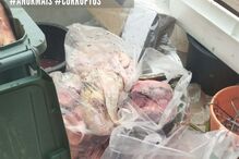 2024-09-20_12_29_50 460476243_18039545486480422_8775986487766732076_n.jpg