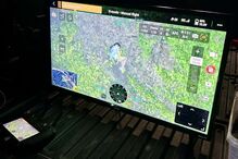 Buscas por Peyton Saintignan, de 10 anos