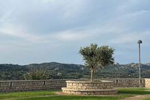 2024-09-25_15_20_25 Luisinha Oliveira 3.jpg