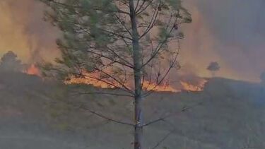 Oito meios aéreos combatem incêndio em Vinhais