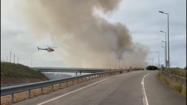 Incêndio deflagrou numa zona de mato em Nogueira próximo da A24