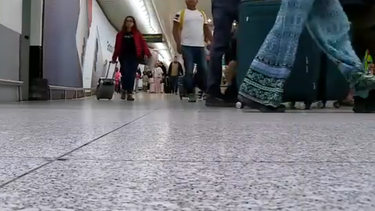 António Salvador: "Akturkoglu é um reforço adequado, dadas as saídas"