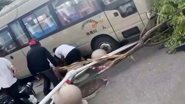 Acidente com um autocarro no leste da China mata 11 pessoas 