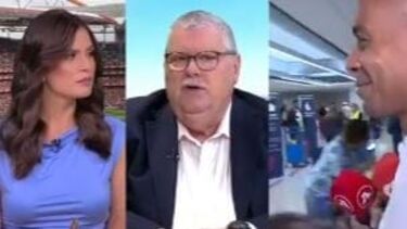 José Manuel Freitas: "Se calhar há mais mosquitos por cordas"