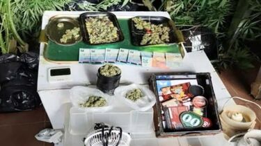 PSP apreende 120 quilos de droga em Aveiro. Um homem foi detido