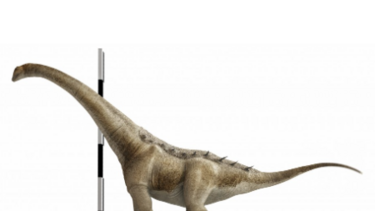 Espécie de dinossauro Qunkasaura pintiquiniestra