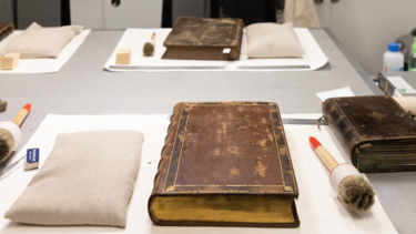 Restauro da Biblioteca da Brotéria em Lisboa vence Prémio Vilalva da Gulbenkian