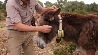 Conheça as inovações tecnológicas que estão a ajudar o turismo sustentável  