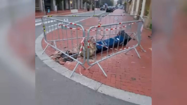 Parquímetro totalmente destruído no centro de Espinho
