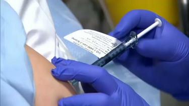 Adquiridas quase cinco milhões de vacinas contra covid-19 e gripe para este ano