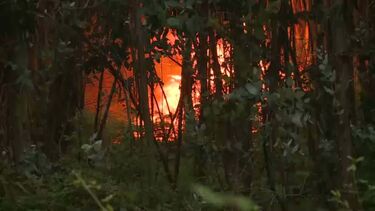 Mais de 40 concelhos de sete distritos em perigo máximo de incêndio