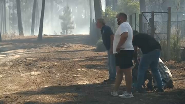 População resgata cães de zona ameaçada pelas chamas na Amora