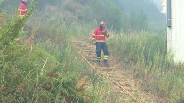 Máquina de trabalhos agrícolas causa incêndio de grandes dimensões em Alvaiázere 