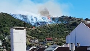 Incêndio deflagra na Encosta da Luz em Benfica
