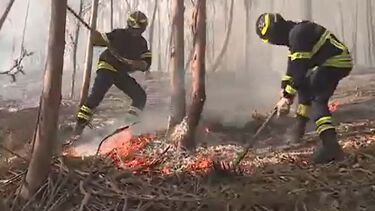 Mais de uma dezena de meios aéreos combatem incêndio em Ourém