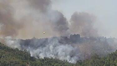 PJ detém homem de 50 anos suspeito de atear oito incêndios no concelho de Braga