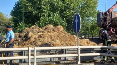Incêndio deflagrou em camião com palha em Coimbra