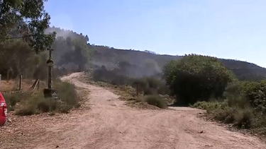 Bombeiros combatem chamas em Aguiar da Beira, Vila Verde e Cabeceiras de Basto