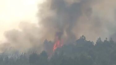 PJ detém suspeito de ter ateado um incêndio florestal em Montalegre