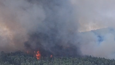 Incêndio lavra em Vila Nova de Famalicão. Moradores em alerta