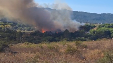 Um meio aéreo e mais de 90 bombeiros combatem incêndio em Alcabideche