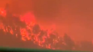 Incêndio em Albergaria-a-Velha lança pânico na A1 e na A25. Condutores tentam escapar às chamas
