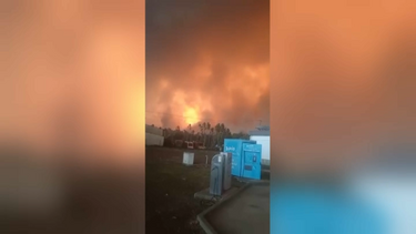 Posto de combustível cercado pelas chamas no IC2 em Albergaria-a-Velha