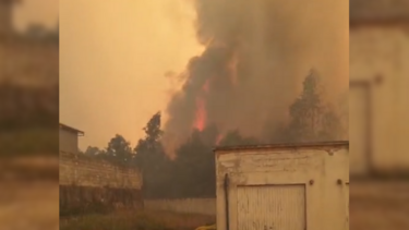 Novas imagens mostram incêndio de grandes dimensões em Albergaria-a-Velha 