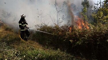 Incêndio em Albergaria-a-Velha