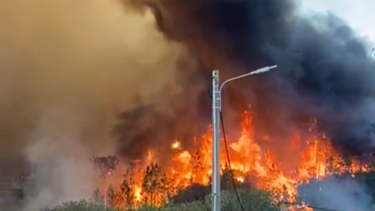 Imagens mostram chamas descontroladas perto de casas em Mafra
