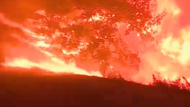 Imagens mostram cenário dantesco no Carregal do Sal: Chamas lavram com intensidade