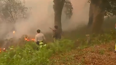 Moradores tentam combater as chamas em Albergaria-a-Velha
