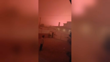“Venham para dentro”: Moradora em pânico com o aproximar do incêndio em Águeda  