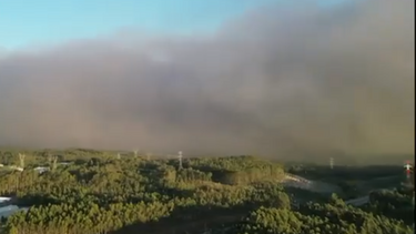 Imagens de drone mostram céu de Albergaria-a-Velha e Sever do Vouga cobertos de fumo 
