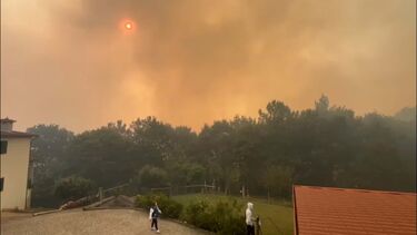 “As pessoas estão em pânico”: Repórter da CMTV revela cenário atual em Sever do Vouga  