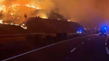 Coluna de bombeiros atravessa estrada rodeada pelas chamas em Sever do Vouga