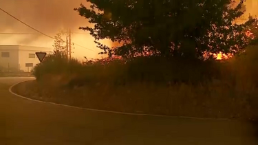 Bombeiros mortos em Nelas são duas mulheres e um homem. Carro de combate foi apanhado pelas chamas