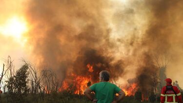 Oliveira do Hospital 